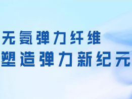 无氨弹力纤维 塑造弹力新纪元